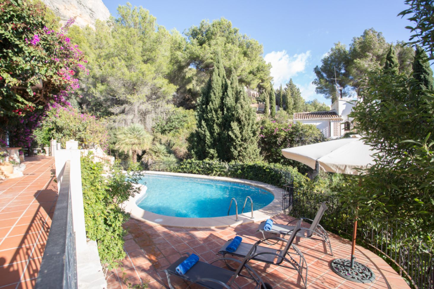 Kidney-shaped pool on a terracotta terrace with sun loungers, set against a backdrop of mature pine trees and Mediterranean flora.