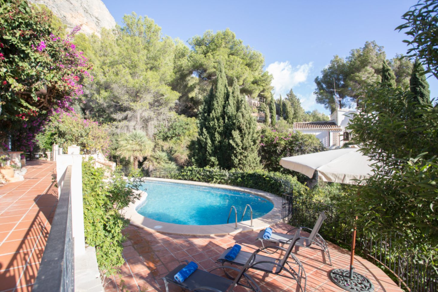 Outdoor kidney-shaped swimming pool surrounded by a terracotta terrace, featuring sun loungers and lush Mediterranean vegetation with pine and cypress trees.