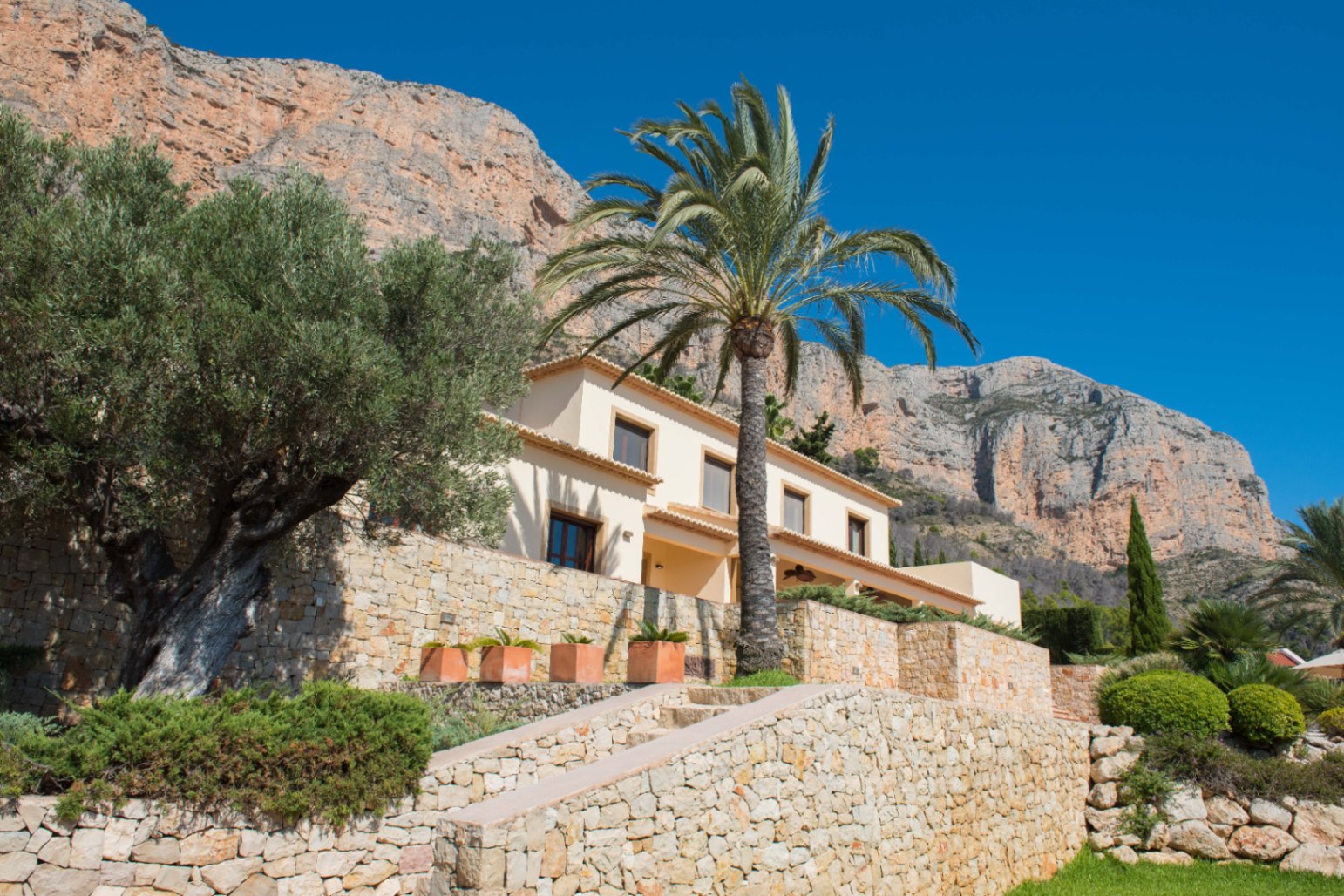 Exterior view of a Mediterranean villa featuring stone masonry walls, a mature olive tree, and a central palm tree against a backdrop of rugged mountain cliffs.