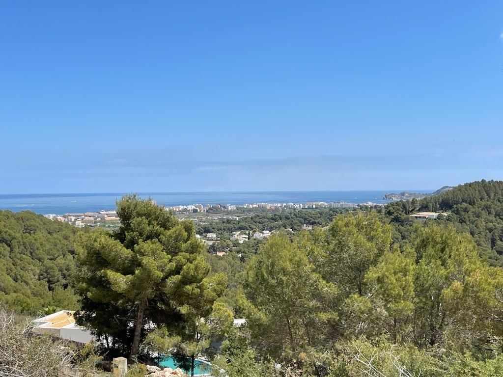 Elevated panoramic view overlooking a dense pine forest towards the Mediterranean coast and sea under a clear blue sky.