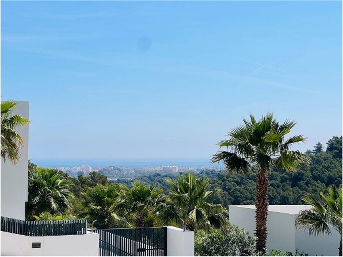 Panoramic view from the property overlooking palm trees and a pine forest, with the coastal skyline and Mediterranean Sea visible in the distance.