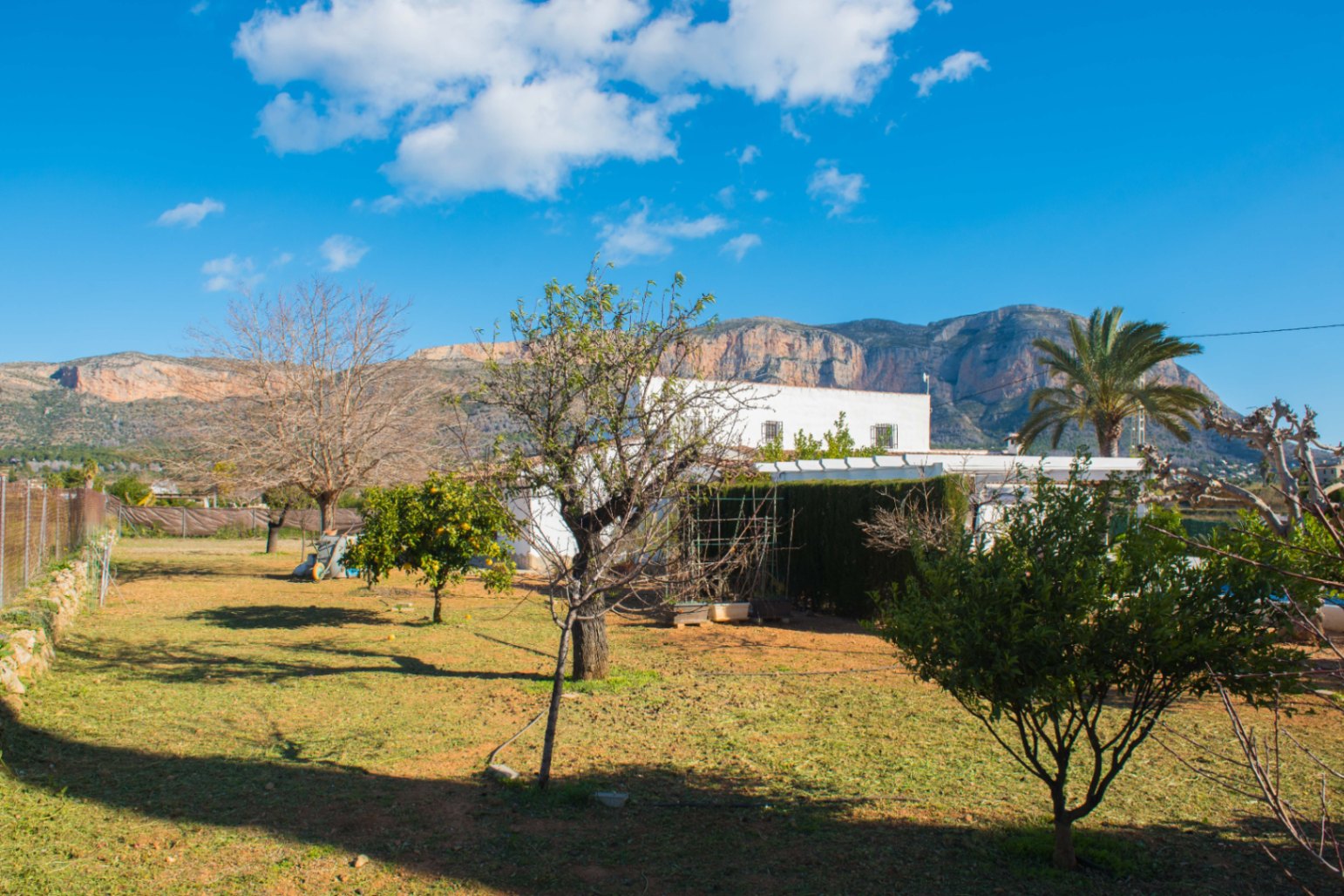 Exterior view of the white villa featuring a spacious garden with fruit trees and a palm, set against the backdrop of the Montgó mountain range.