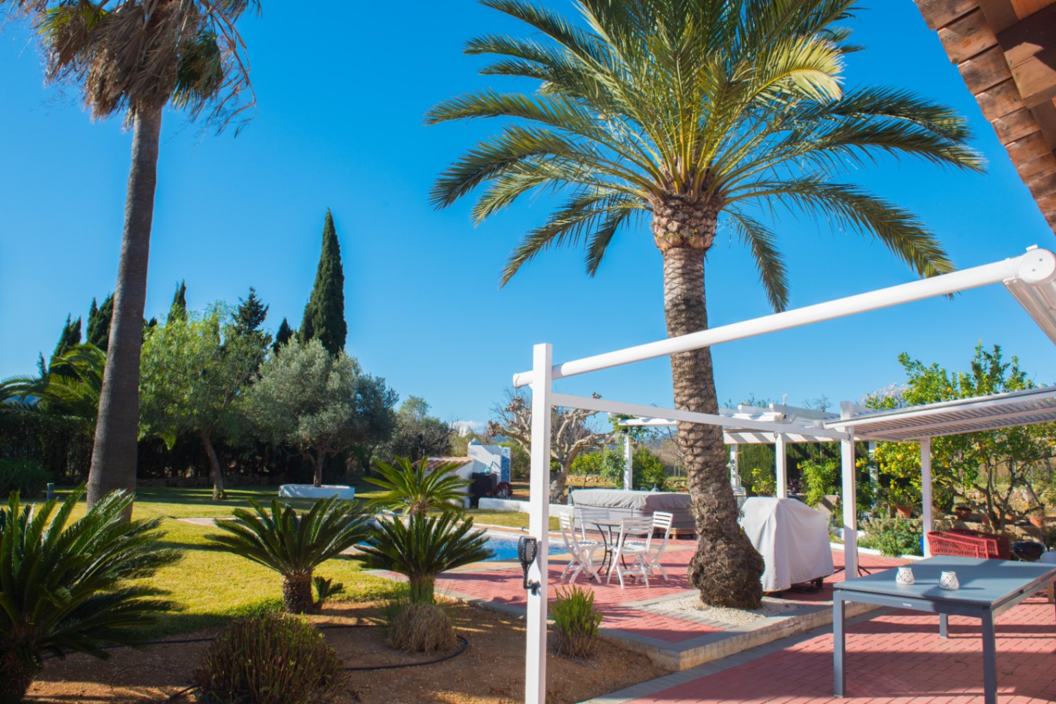 Manicured Mediterranean garden featuring mature palm trees, a white pergola structure, and a terracotta terrace with outdoor dining furniture by the pool.