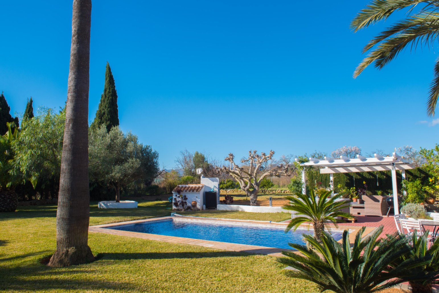 Outdoor swimming pool surrounded by a manicured lawn, featuring a white pergola, palm trees, and Mediterranean vegetation under a clear sky.