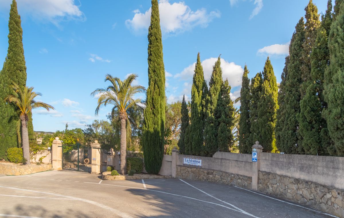 Entrance to La Montesa featuring a wrought iron gate, stone-clad perimeter walls, and a paved driveway lined with mature cypress and palm trees.