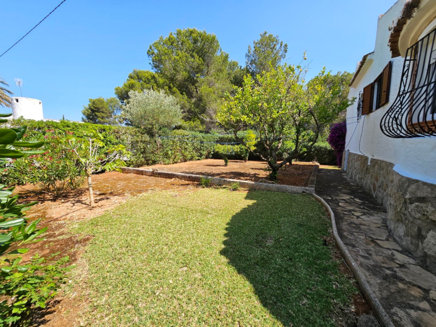 Garden area featuring a natural lawn, stone-paved walkway, and mature fruit trees set against a backdrop of Mediterranean pines and a clear sky.