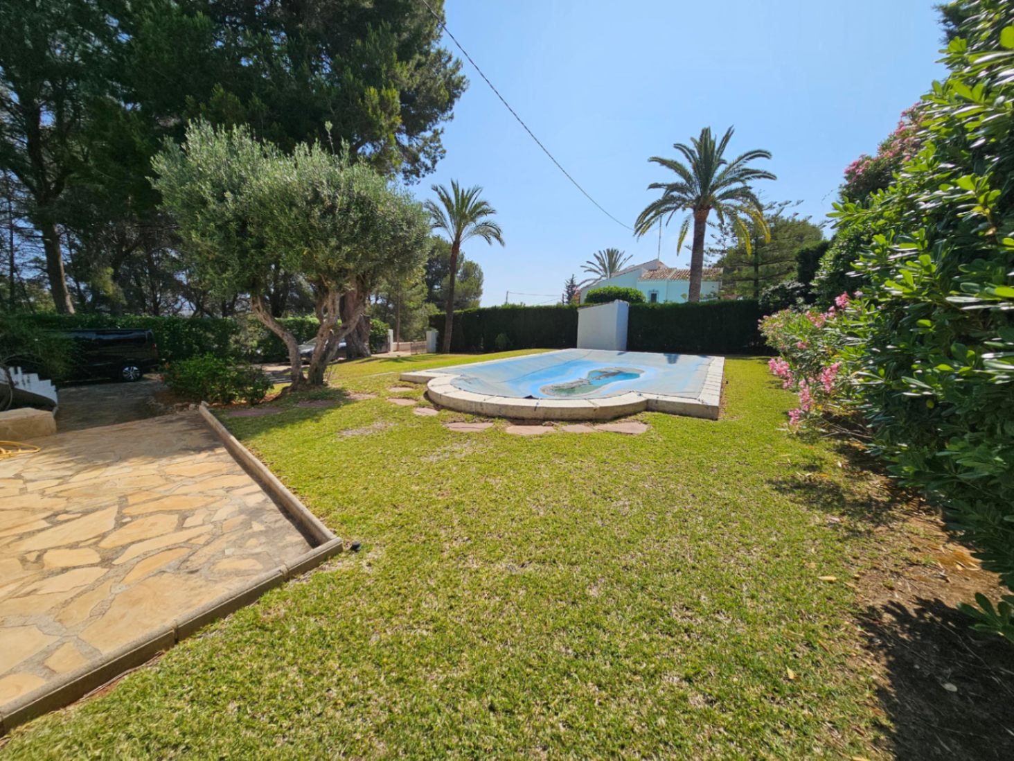 Outdoor garden featuring a lawn, mature olive and palm trees, and a swimming pool with a blue safety cover and stone coping.
