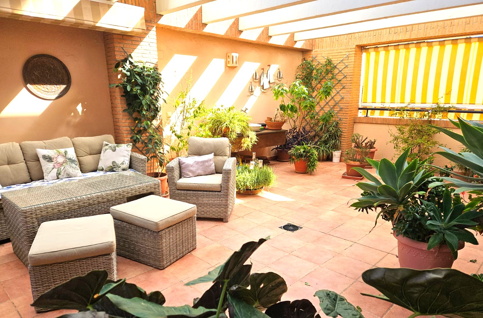 Spacious terrace with terracotta tiling, featuring a grey wicker lounge set, white pergola beams, and a variety of Mediterranean potted plants under natural sunlight.