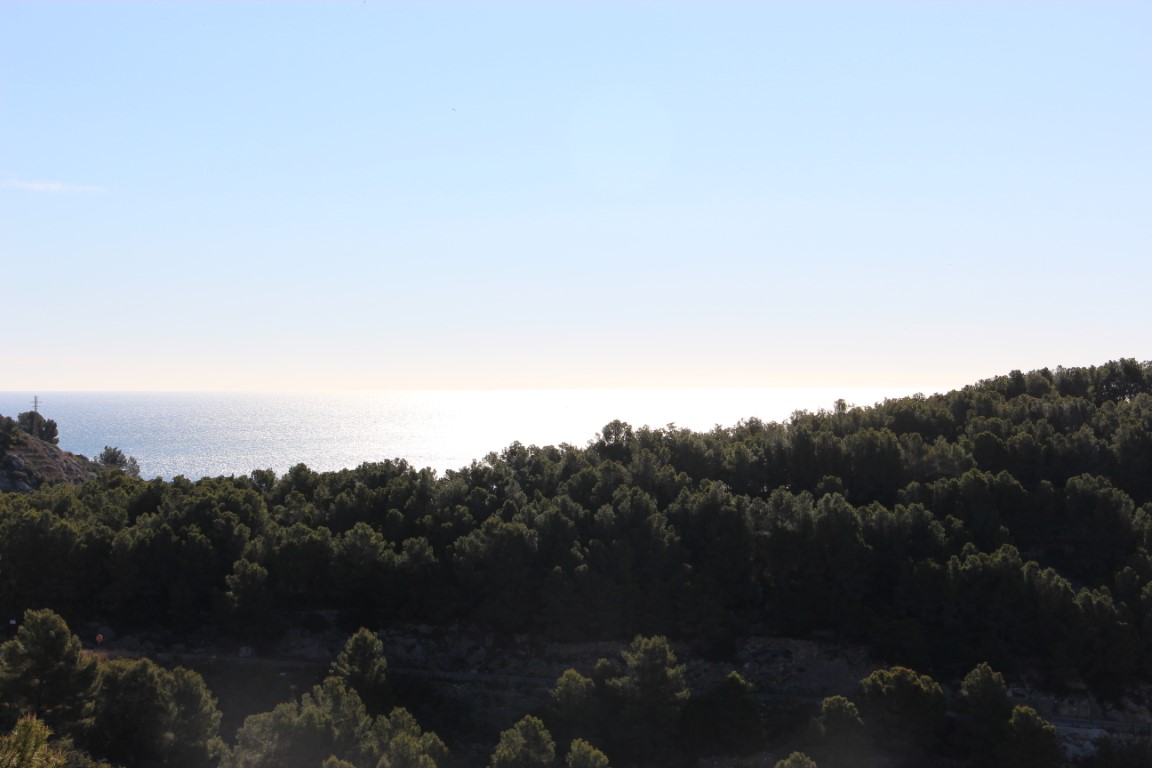 Elevated panoramic view of a dense Mediterranean pine forest overlooking the sea with sunlight reflecting on the water under a clear sky.
