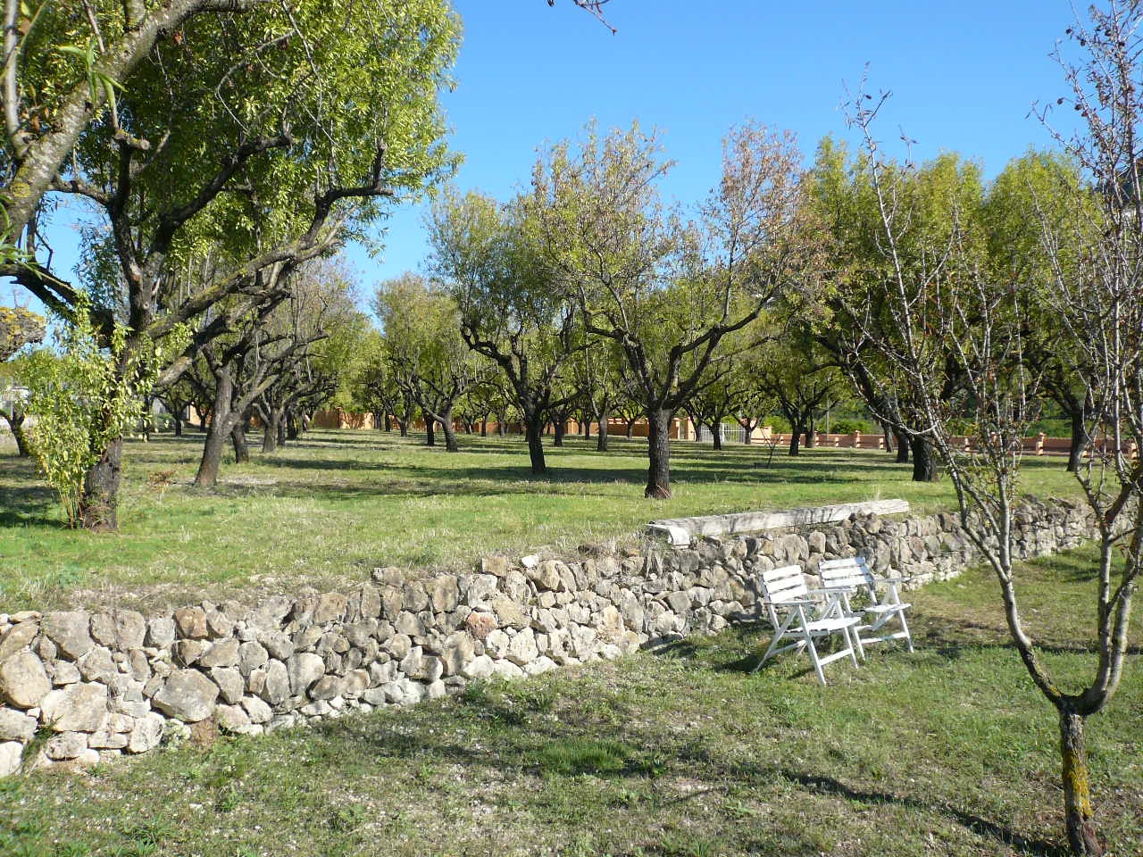Villa in Pedreguer with sea views and expansive plot