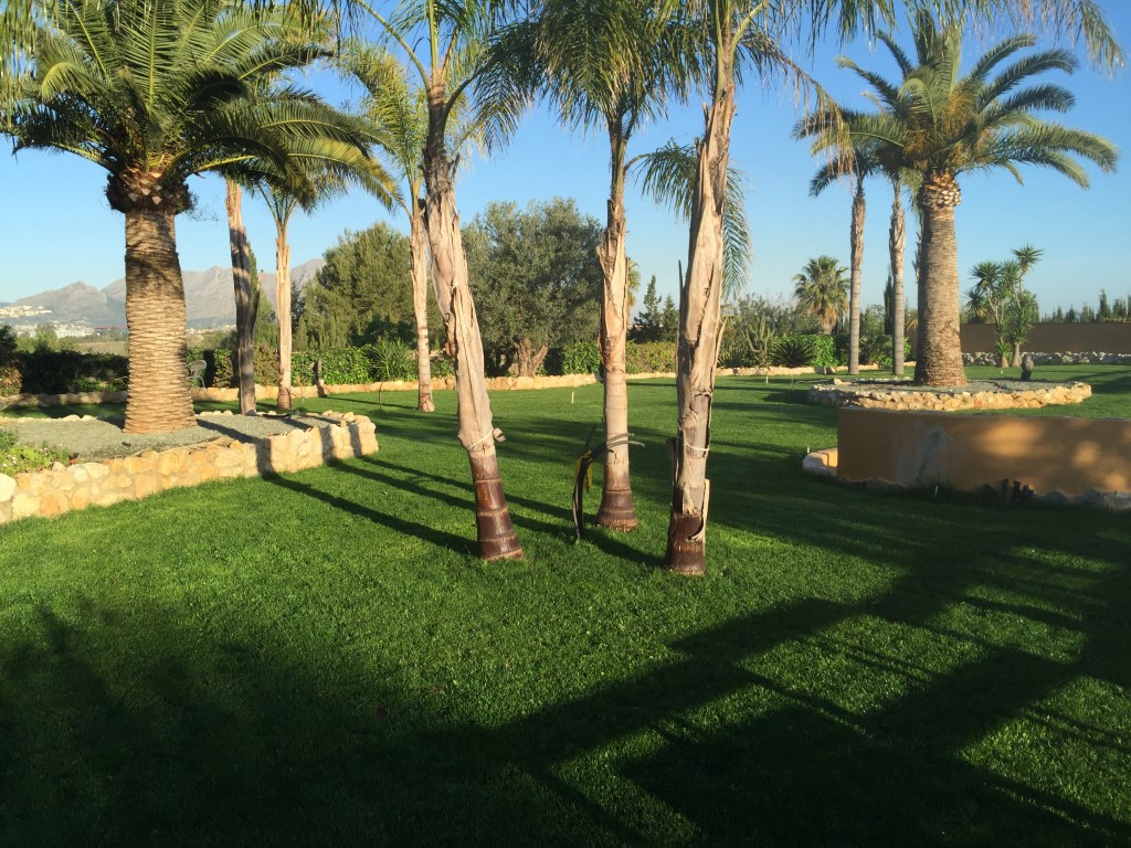 Villa in Pedreguer with sea views and expansive plot