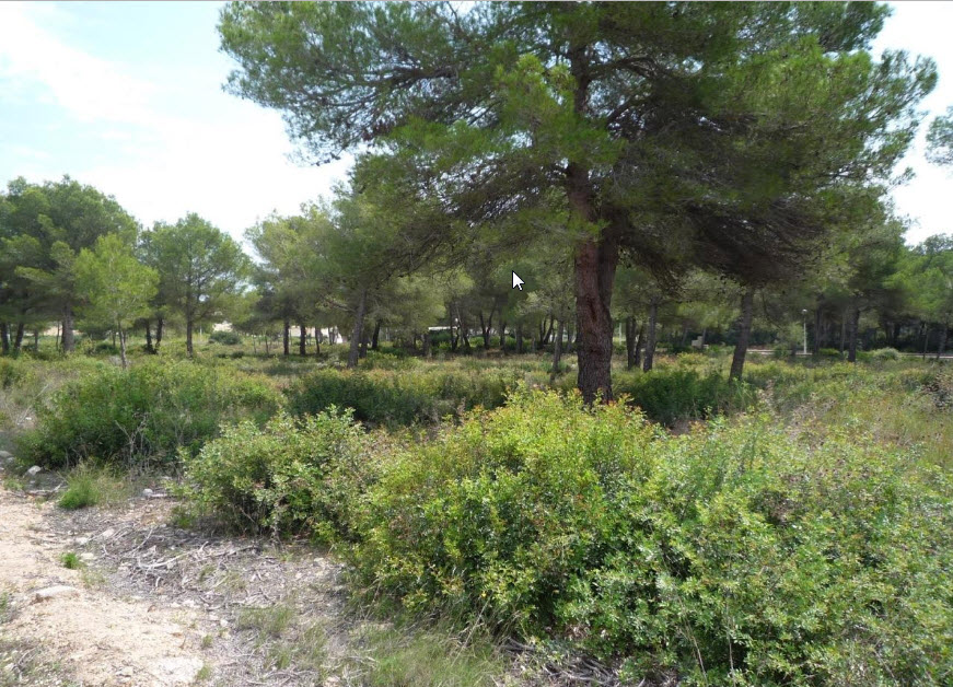 Flat building plots with sea views in Jávea
