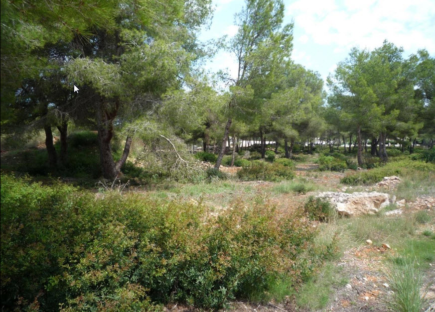 Flat building plots with sea views in Jávea