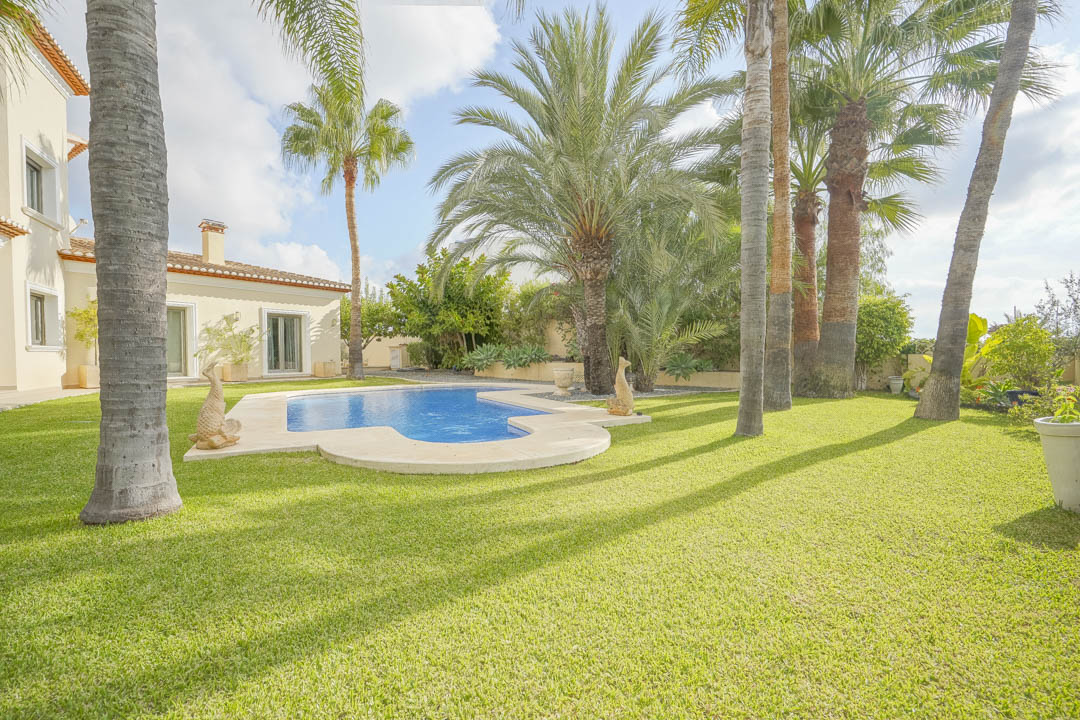 Mediterranean garden featuring a natural lawn, mature palm trees, and a custom-shaped swimming pool with stone coping adjacent to the villa.