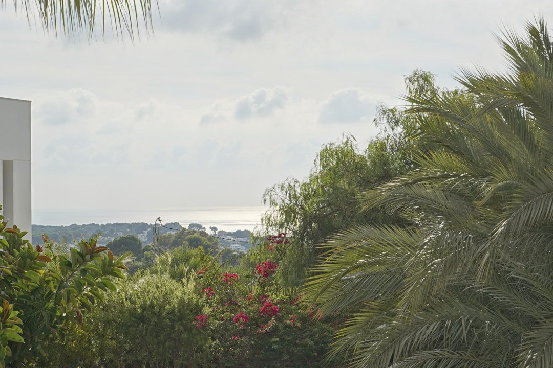 Panoramic view of the Mediterranean Sea framed by mature palm trees and flowering bougainvillea, captured from an elevated position.