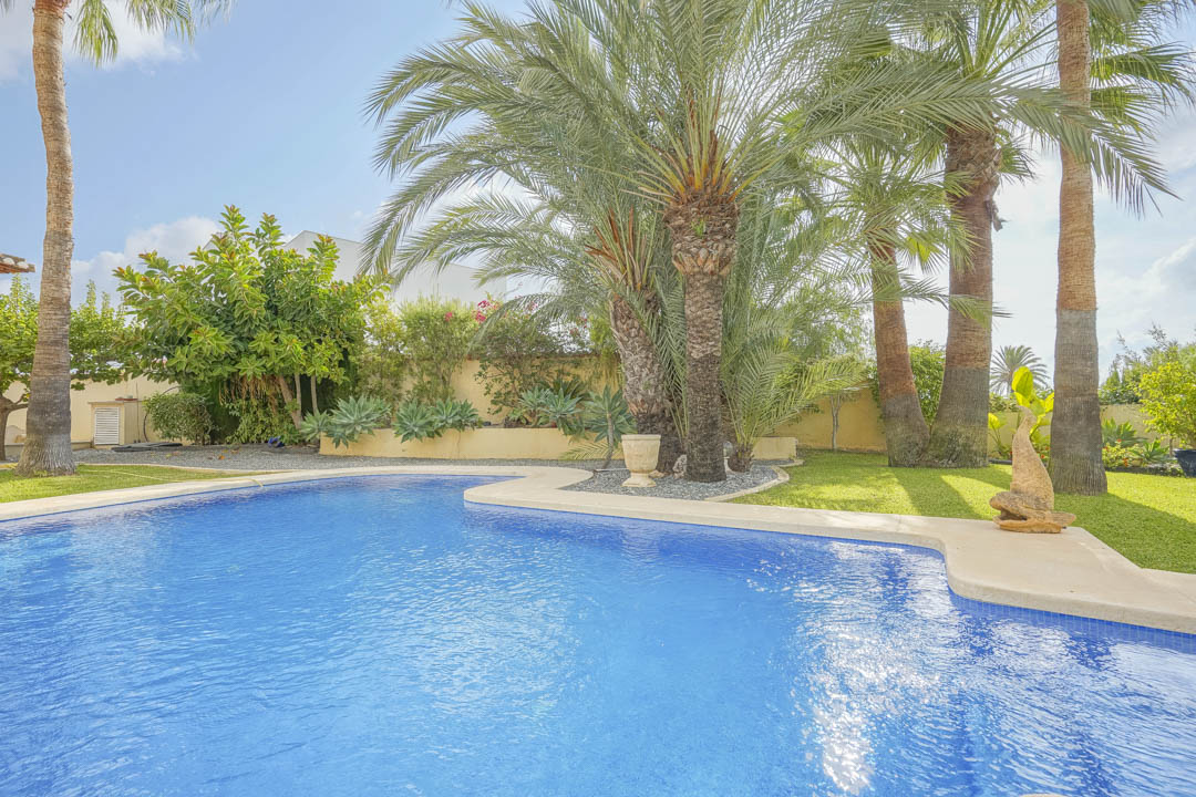 Private swimming pool featuring curved stone coping, surrounded by a mature Mediterranean garden with tall palm trees and lush green lawn.