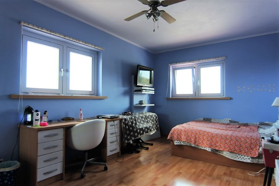 Bedroom featuring blue walls, wood flooring, a dedicated desk area, and two windows for natural light. Includes a ceiling fan for climate control.