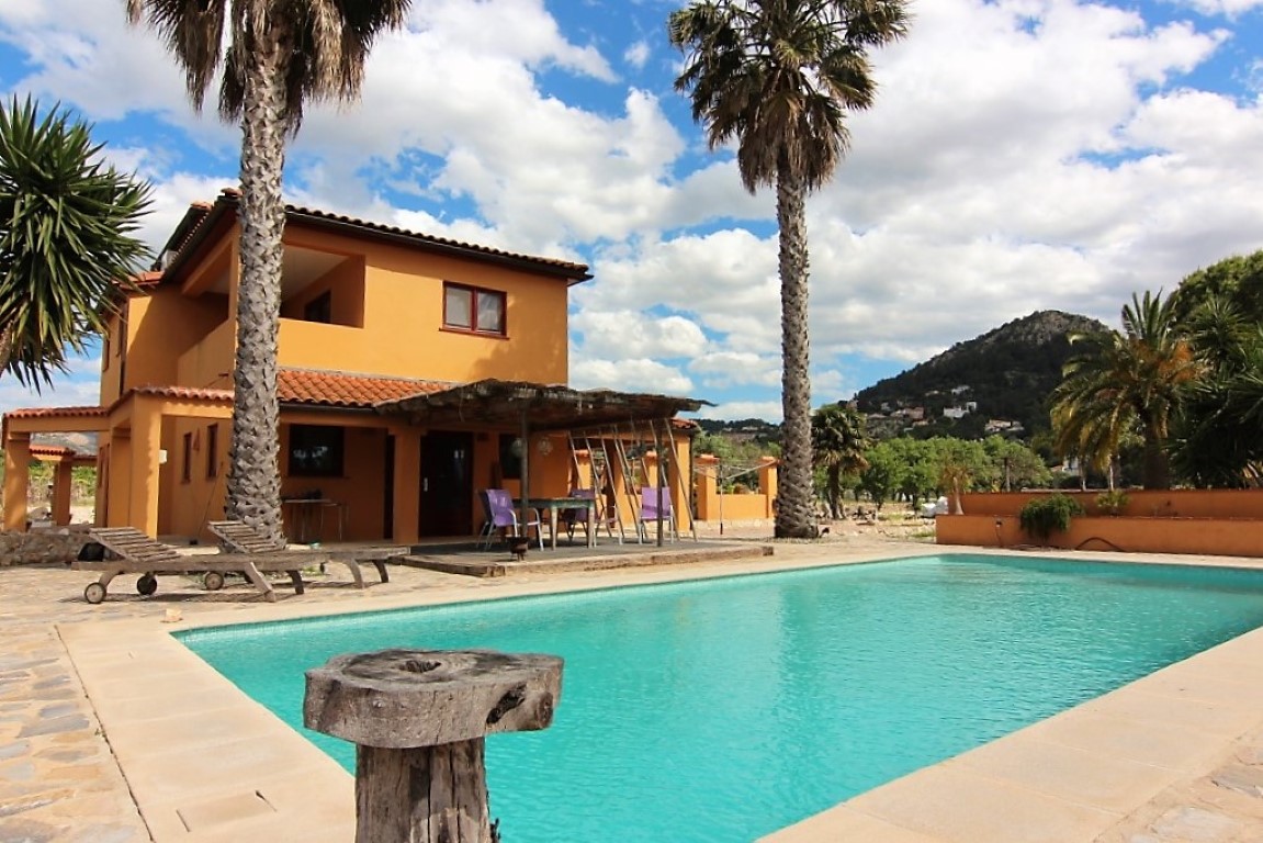 Exterior view of the rectangular swimming pool and stone terrace, featuring the ochre finca facade, tall palm trees, and mountain backdrop.