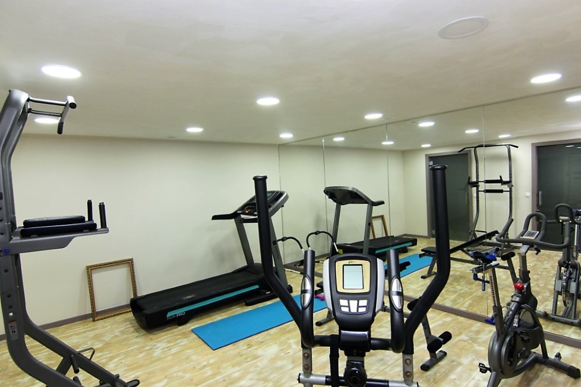 Private basement gym featuring light wood flooring, full-length wall mirrors, and various fitness equipment including a treadmill and elliptical trainer.