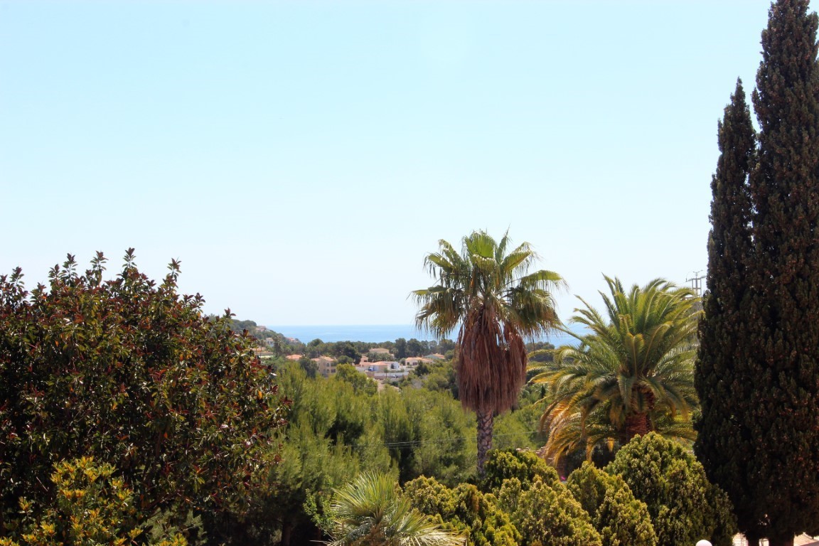 Panoramic view towards the Mediterranean Sea from the property, framed by lush greenery including palm trees and tall cypresses.