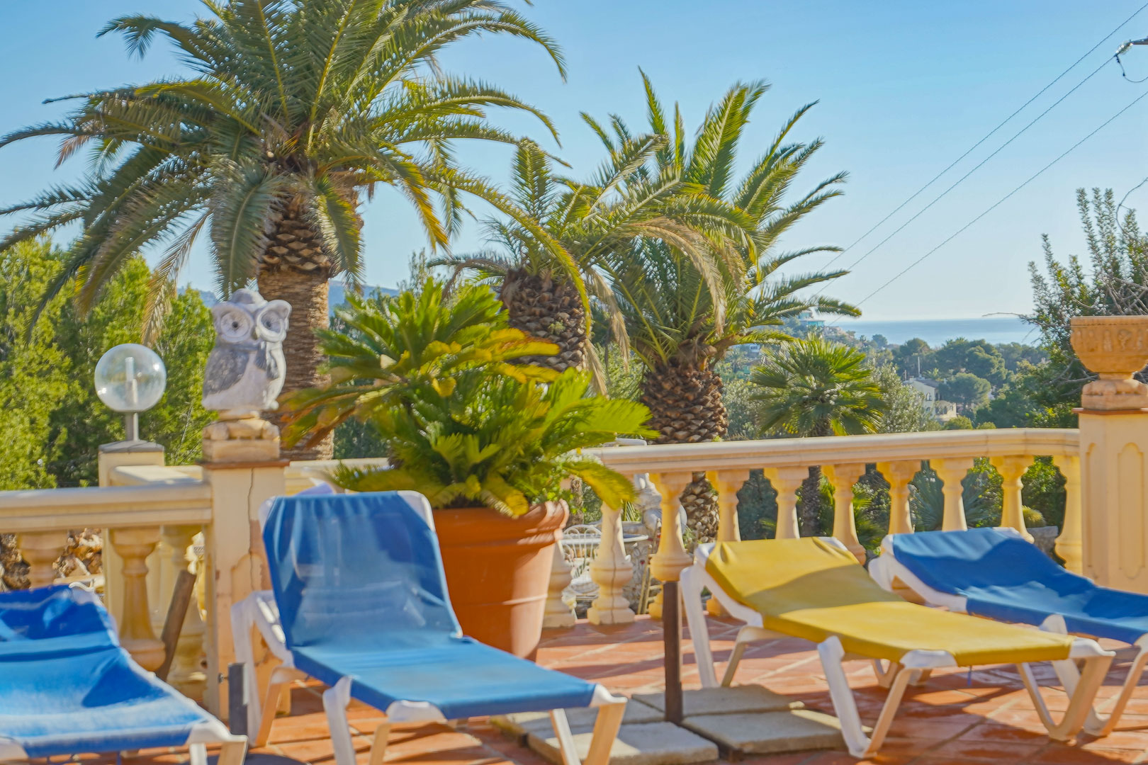 Sun terrace featuring terracotta tiling, a classic balustrade, and loungers, framed by mature palm trees and offering distant views of the Mediterranean Sea.