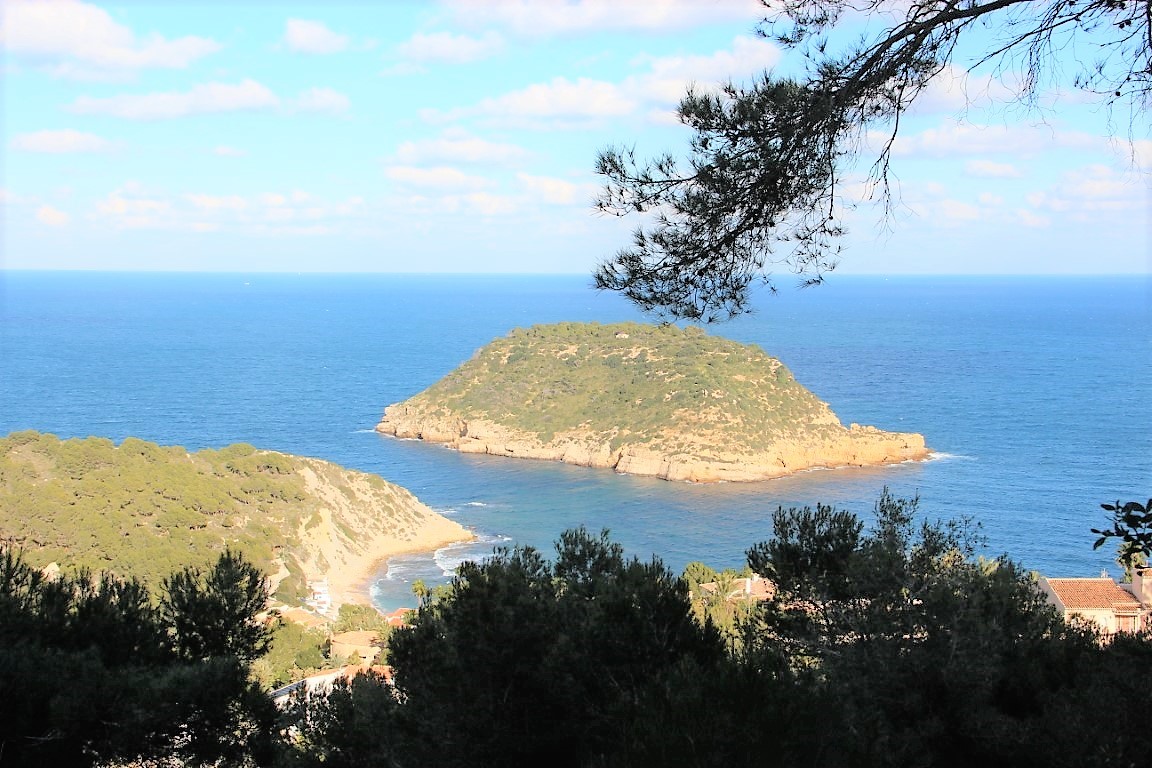 Panoramic view from the plot overlooking the Portichol Island and the Mediterranean Sea, framed by native pine trees and the coastline.