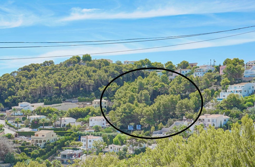 Panoramic view of the elevated building plot in Jávea, featuring a dense pine grove surrounded by established villas and clear skies.
