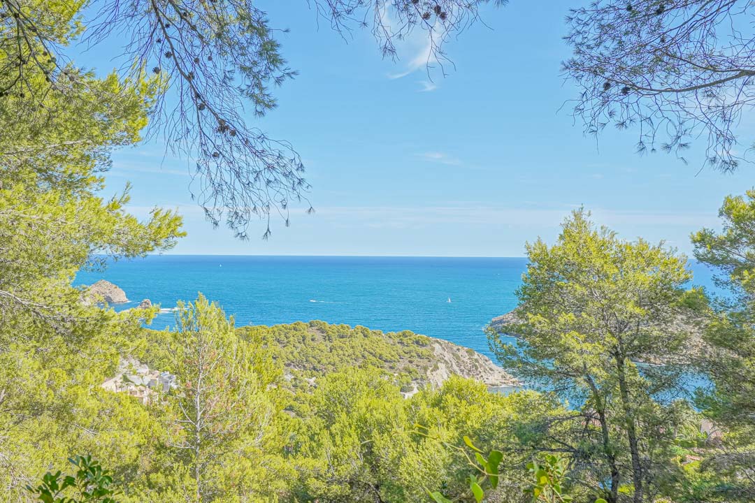 Panoramic view of the Mediterranean Sea and Portichol coastline, framed by mature pine trees from the elevated plot location.