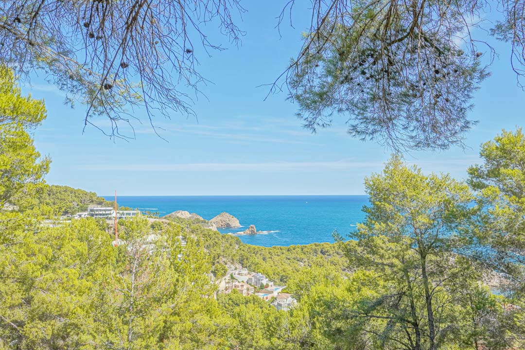Panoramic view of the Mediterranean Sea and Portichol Island from the plot, framed by native pine trees and coastal vegetation in Jávea.