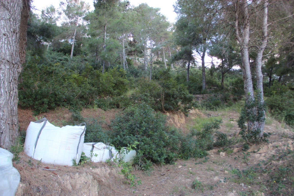Sloping building plot featuring mature pine trees and native Mediterranean shrubland, offering a natural and private setting for construction.