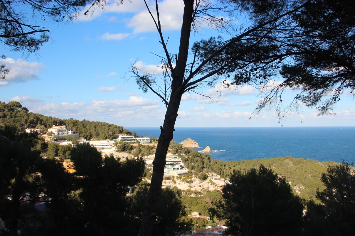 Elevated view of the Mediterranean Sea and Jávea coastline, framed by wild pine trees with a perspective of luxury hillside residences.