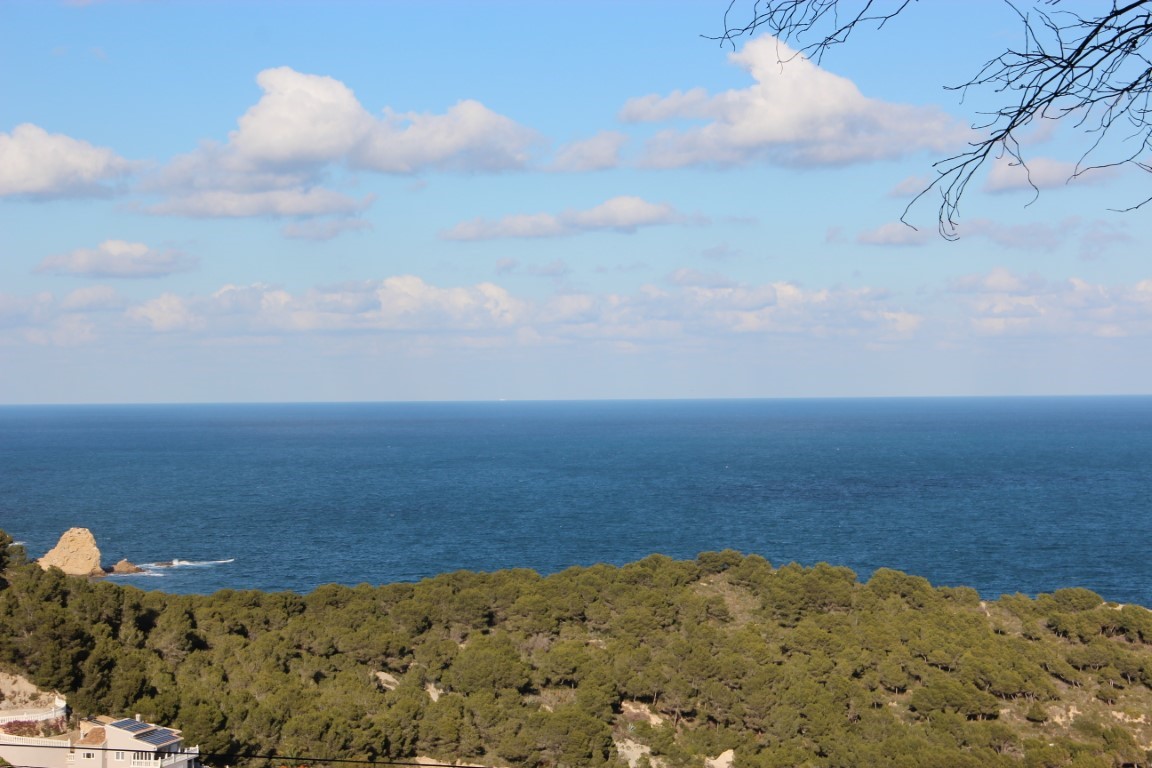 Panoramic Mediterranean Sea views from the plot, featuring a dense pine forest canopy and a rocky coastal outcrop under a clear sky with scattered clouds.