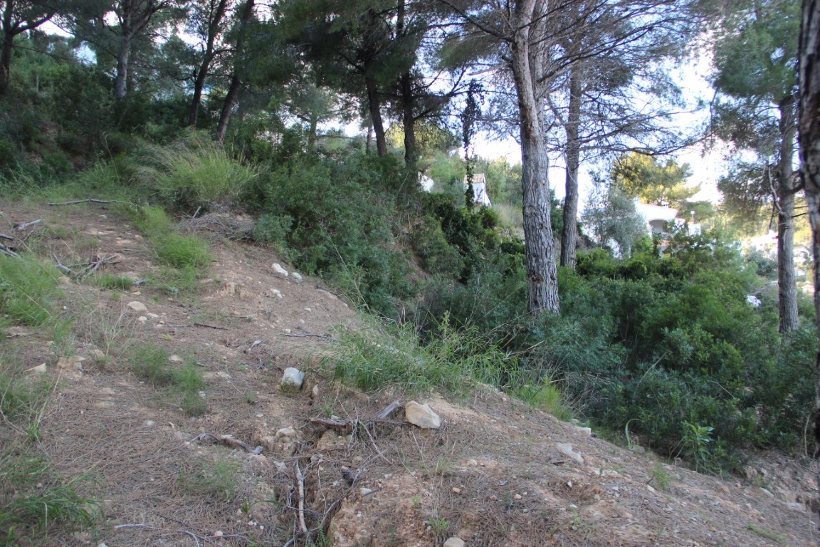 Sloped building plot featuring natural Mediterranean vegetation and mature pine trees. Residential structures are visible through the dense woodland.