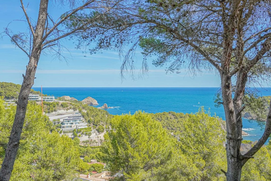 Panoramic Mediterranean Sea views framed by native pine trees, overlooking the rugged Jávea coastline and lush hillside vegetation from an elevated vantage point.