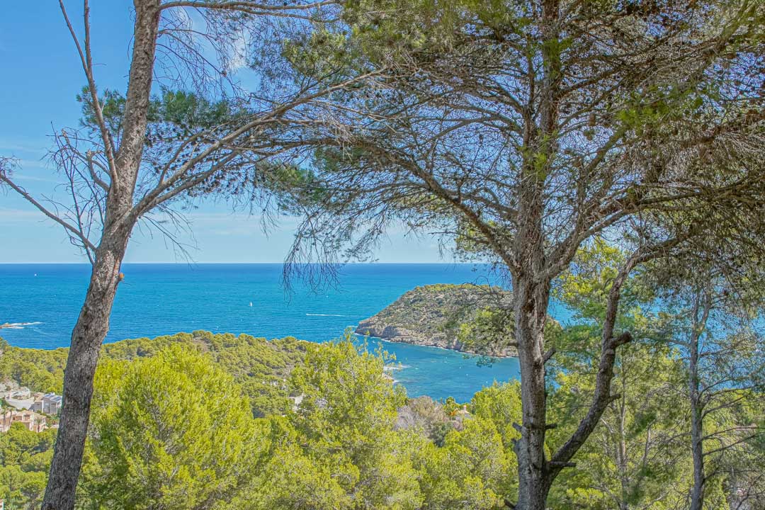 Panoramic views of the Mediterranean Sea and Portichol Island, framed by mature pine trees from the villa's elevated position.