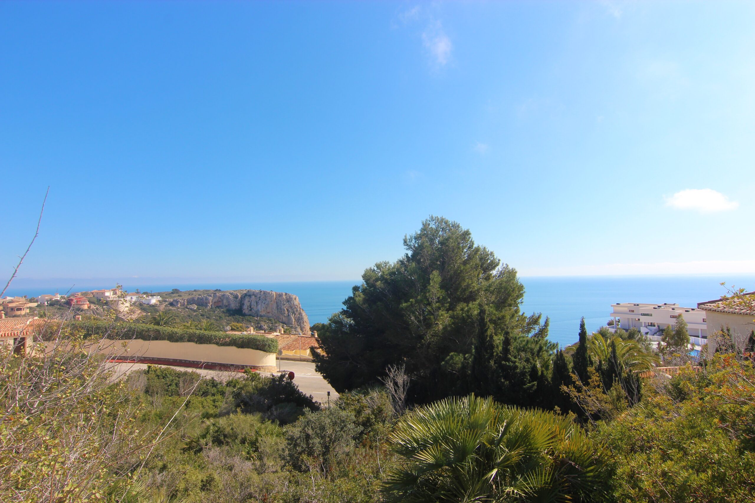 Panoramic view of the Mediterranean Sea and the Cumbre del Sol cliffs from an elevated position surrounded by native vegetation and pine trees.