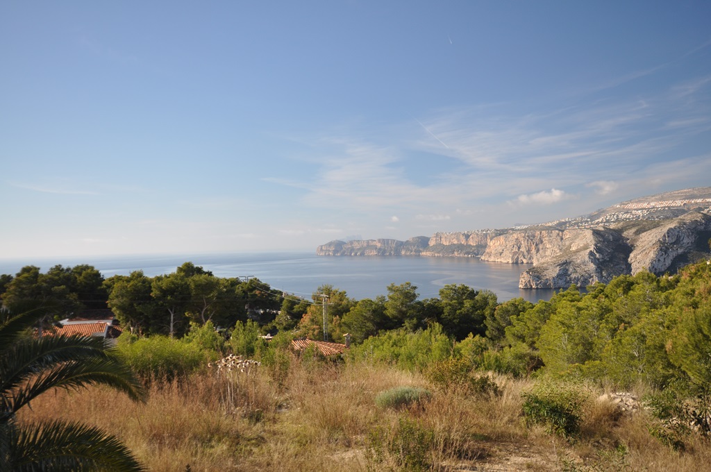 Panoramic view from the plot overlooking the Mediterranean Sea and coastal cliffs, framed by native pine trees and wild vegetation.