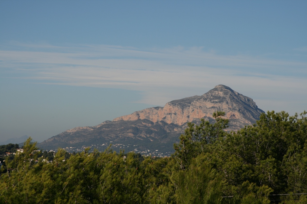 Panoramic view of the Montgó mountain massif from the plots, framed by Mediterranean pine trees and a clear blue sky.
