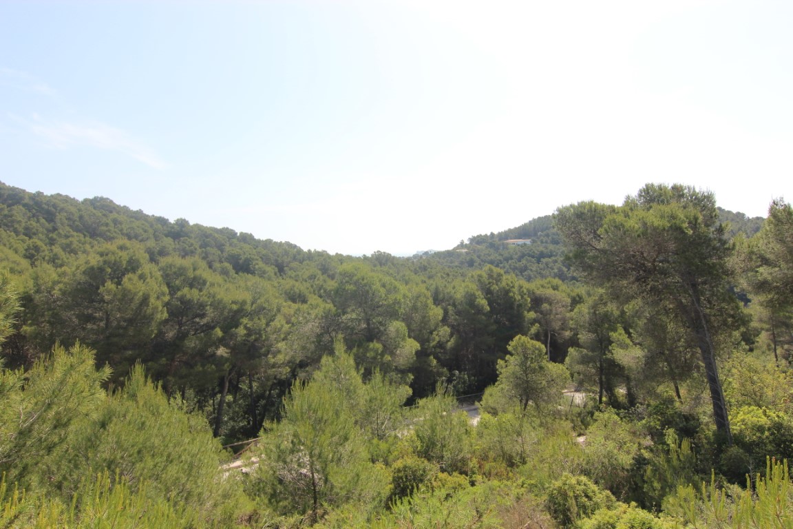 Panoramic views of the Mediterranean pine-covered hills from the building plots in Jávea. A natural, protected landscape with clear, open horizons.
