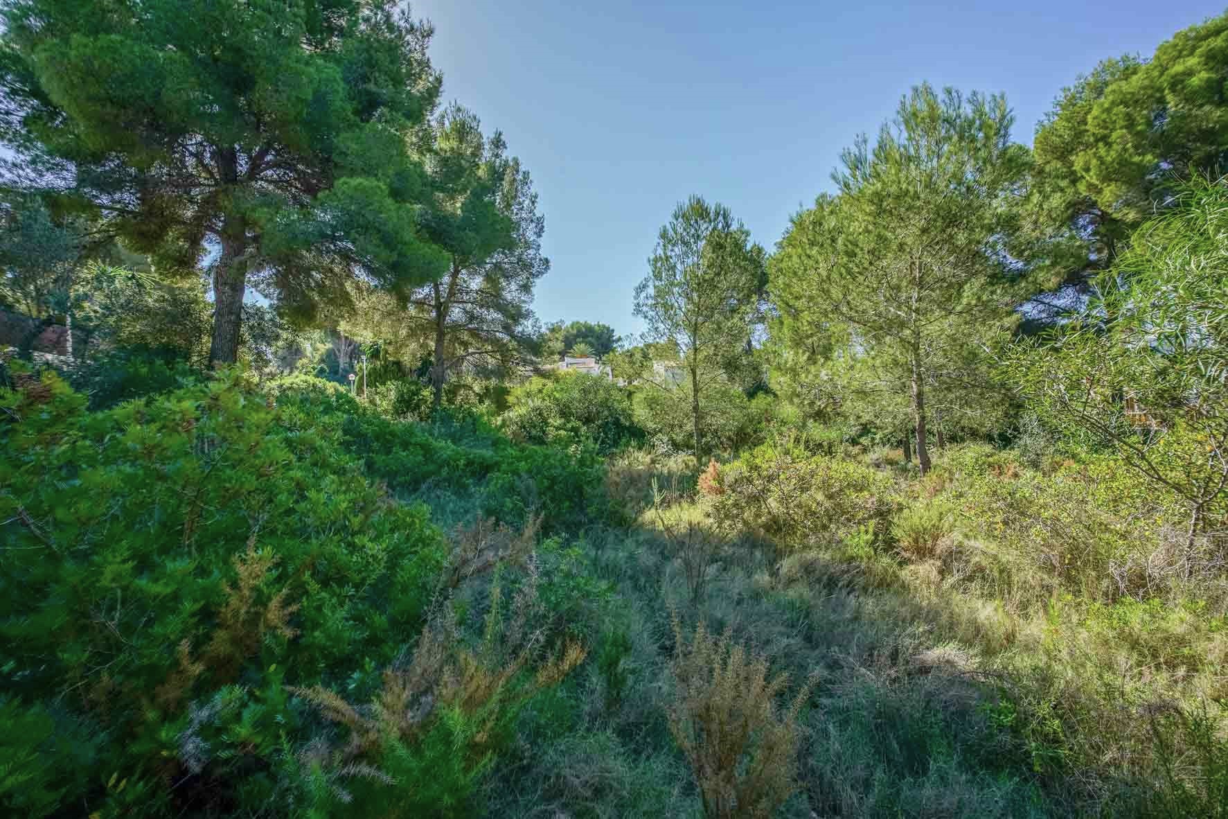 A 2,700 m2 plot featuring mature pine trees and native Mediterranean vegetation, offering a natural and private setting in Portichol.