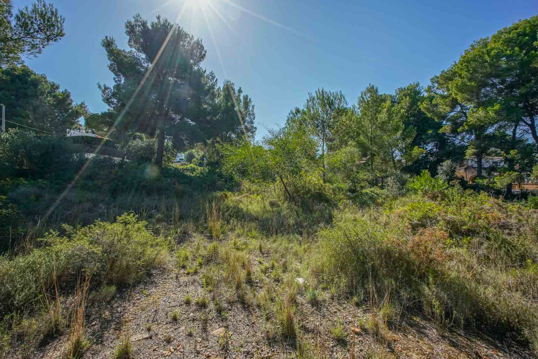 A 2700 m2 urban plot featuring native Mediterranean vegetation and mature pine trees, offering a gentle slope and abundant natural light.