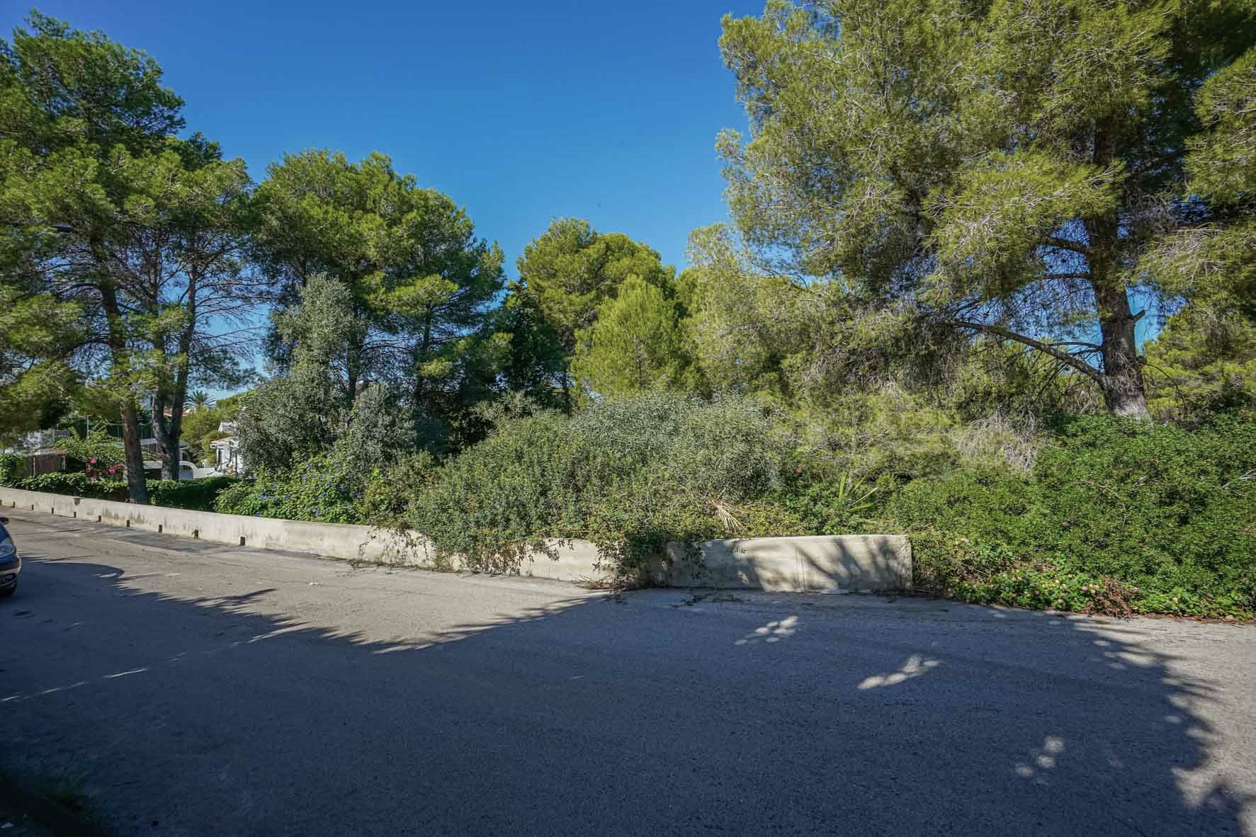 Exterior view of the corner plot featuring a concrete boundary wall, mature pine trees, and dense Mediterranean shrubbery along a quiet paved residential street.