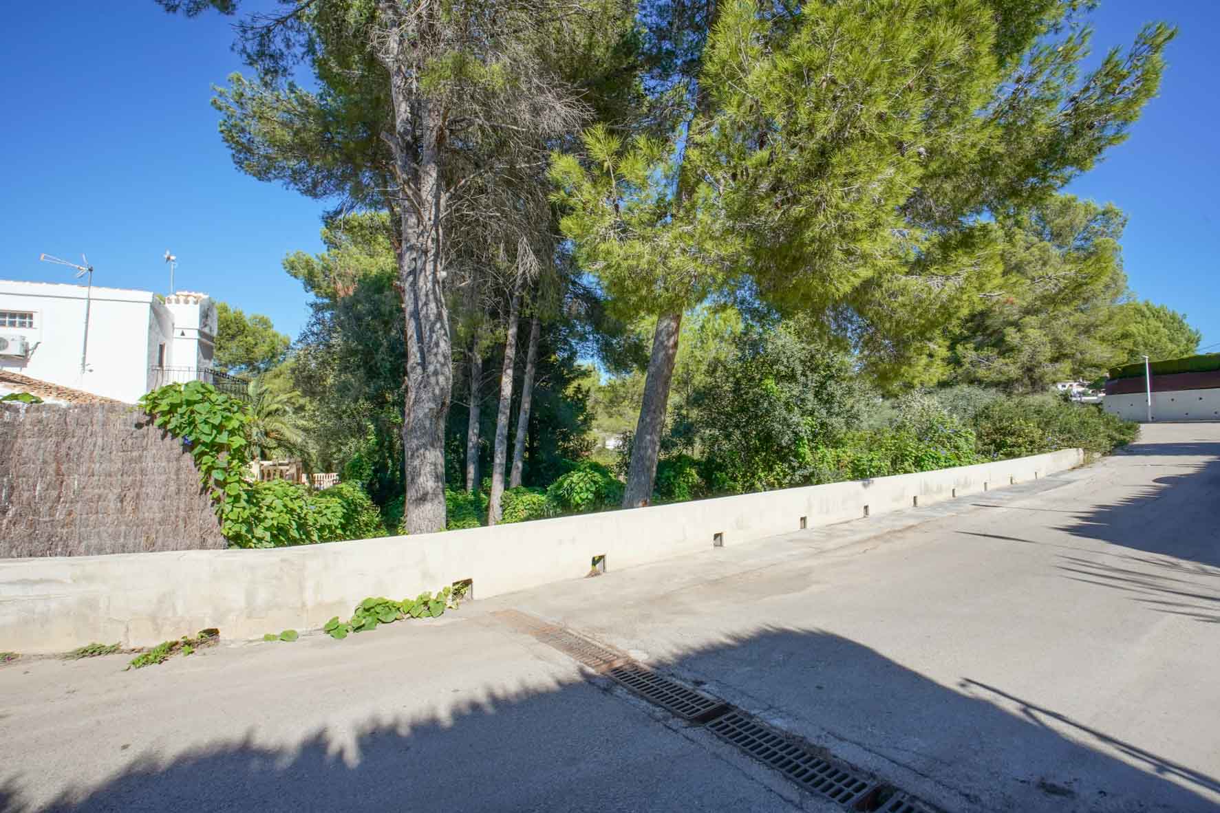 Exterior view of the plot from the paved street, featuring the perimeter retaining wall and mature pine trees under a clear blue sky.