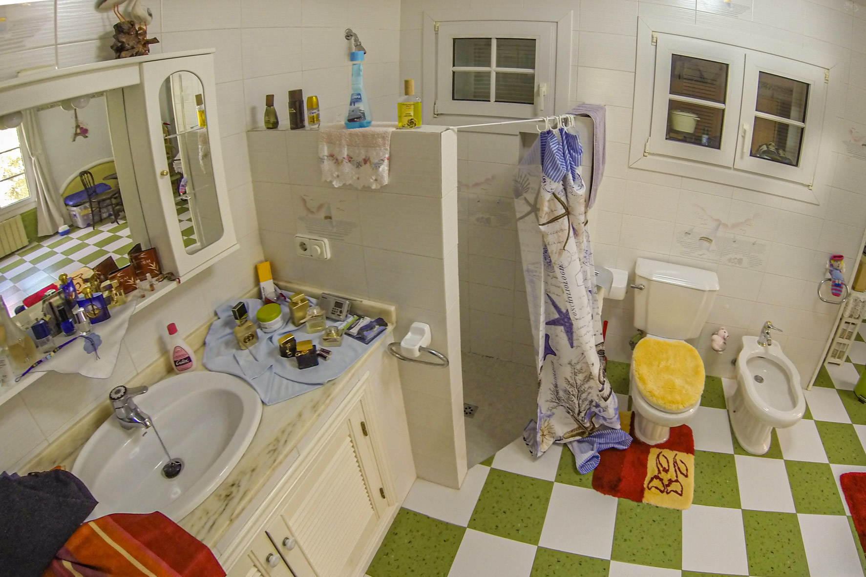 Bathroom detail featuring a countertop sink and shower with patterned curtain.