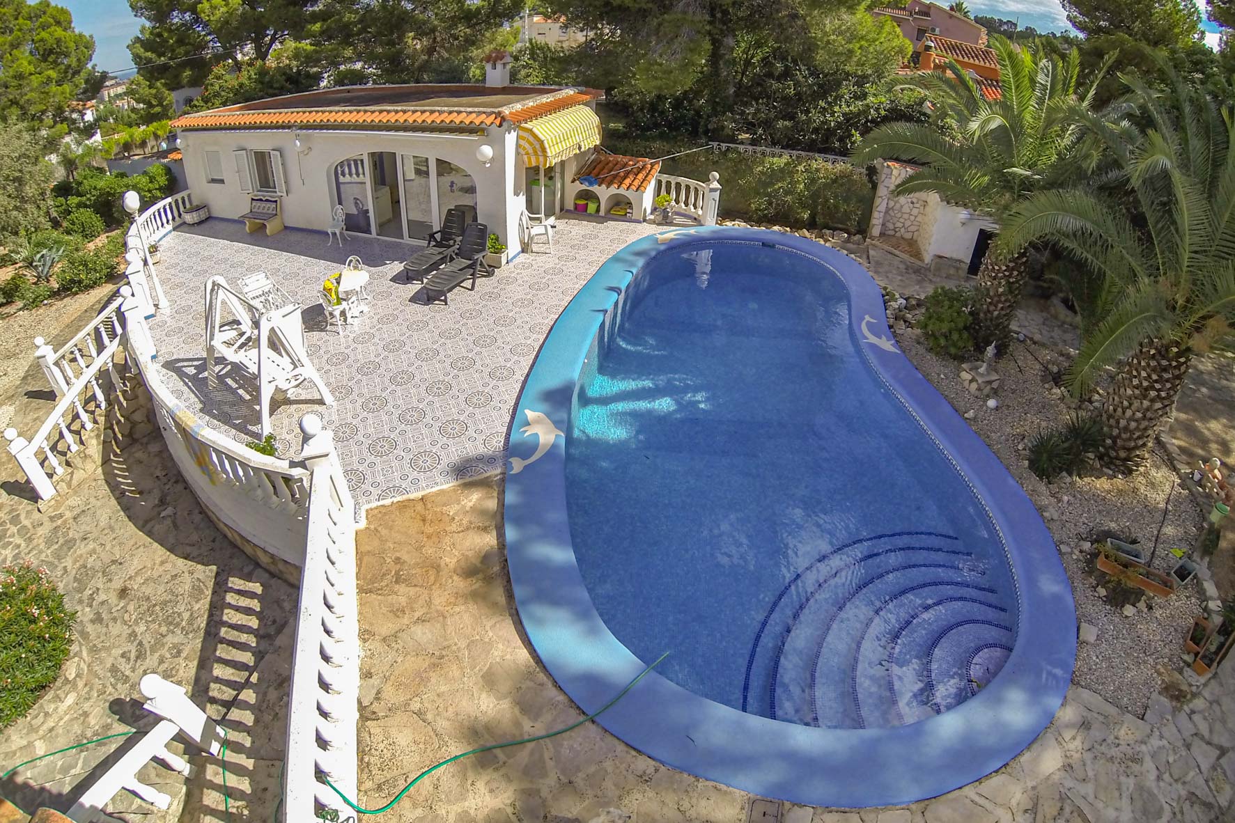 Elevated view of the blue dolphin-motif pool, surrounded by patterned terraces and manicured gardens.