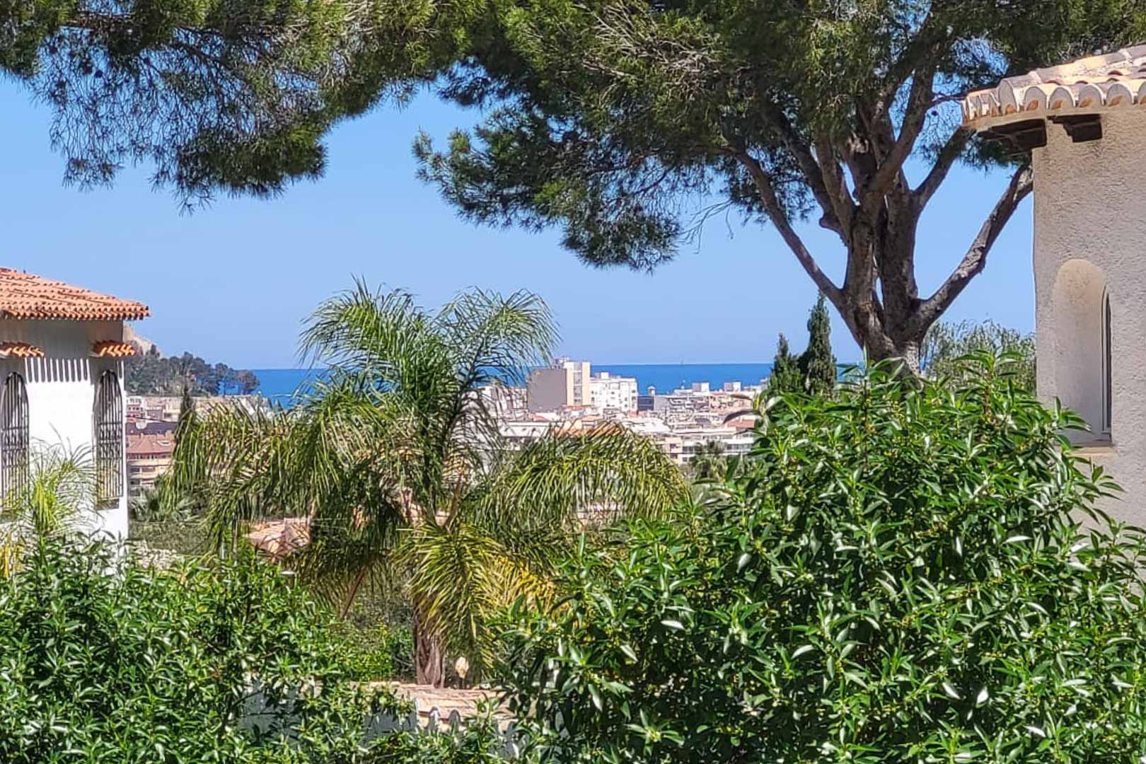 Panoramic view of Denia from the villa, featuring lush greenery and the Mediterranean Sea in the background.