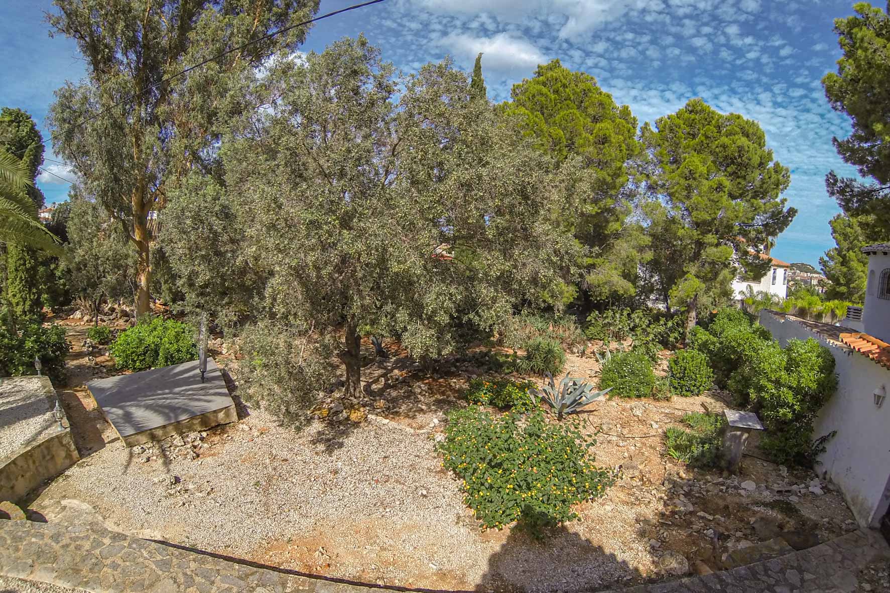 View of the Mediterranean garden with mature trees and varied vegetation, on a private plot.