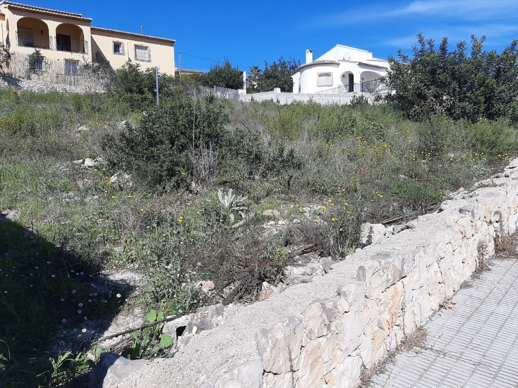 Elevated plot featuring natural Mediterranean vegetation and a traditional stone boundary wall, located in a quiet residential area of Alcalalí.