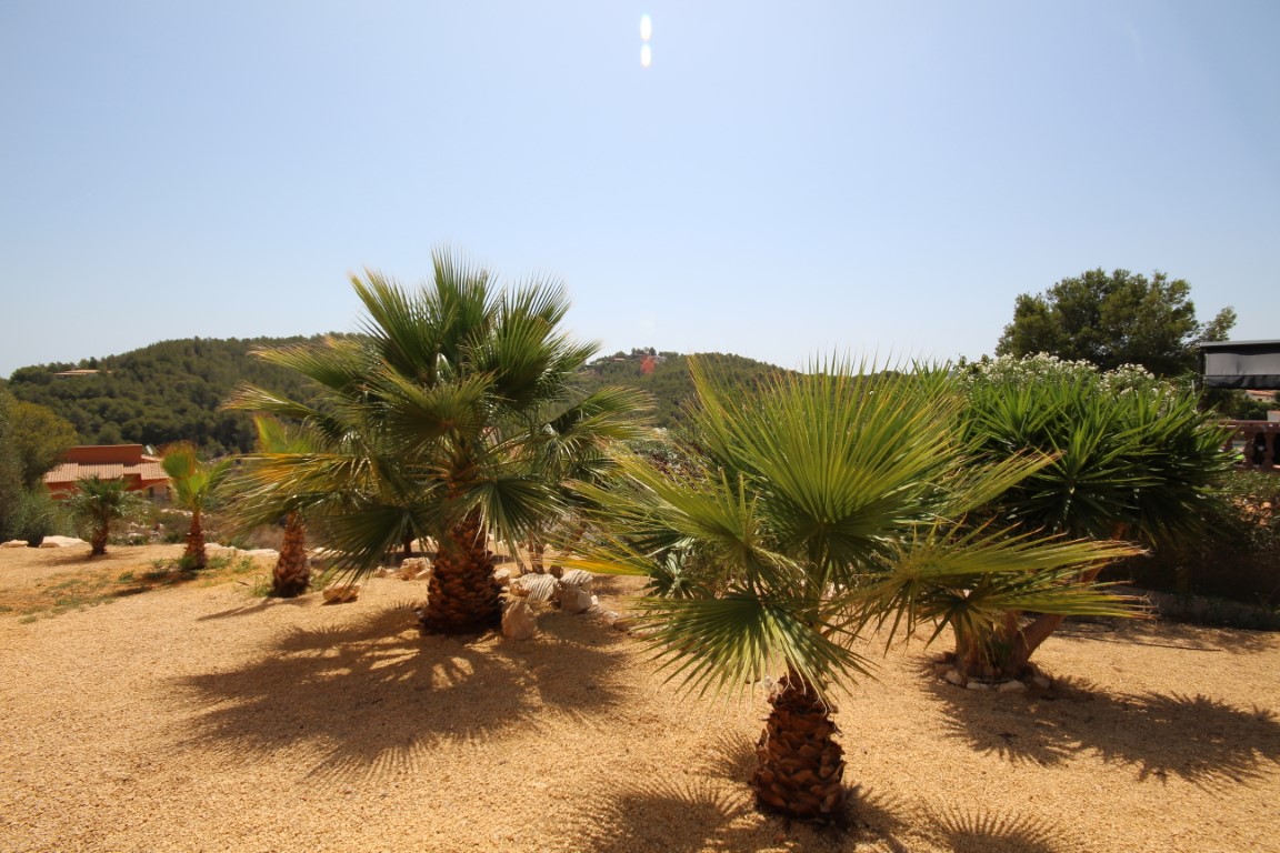 Low-maintenance Mediterranean garden featuring palm trees and yuccas on gravel, with open views towards the surrounding green hills.