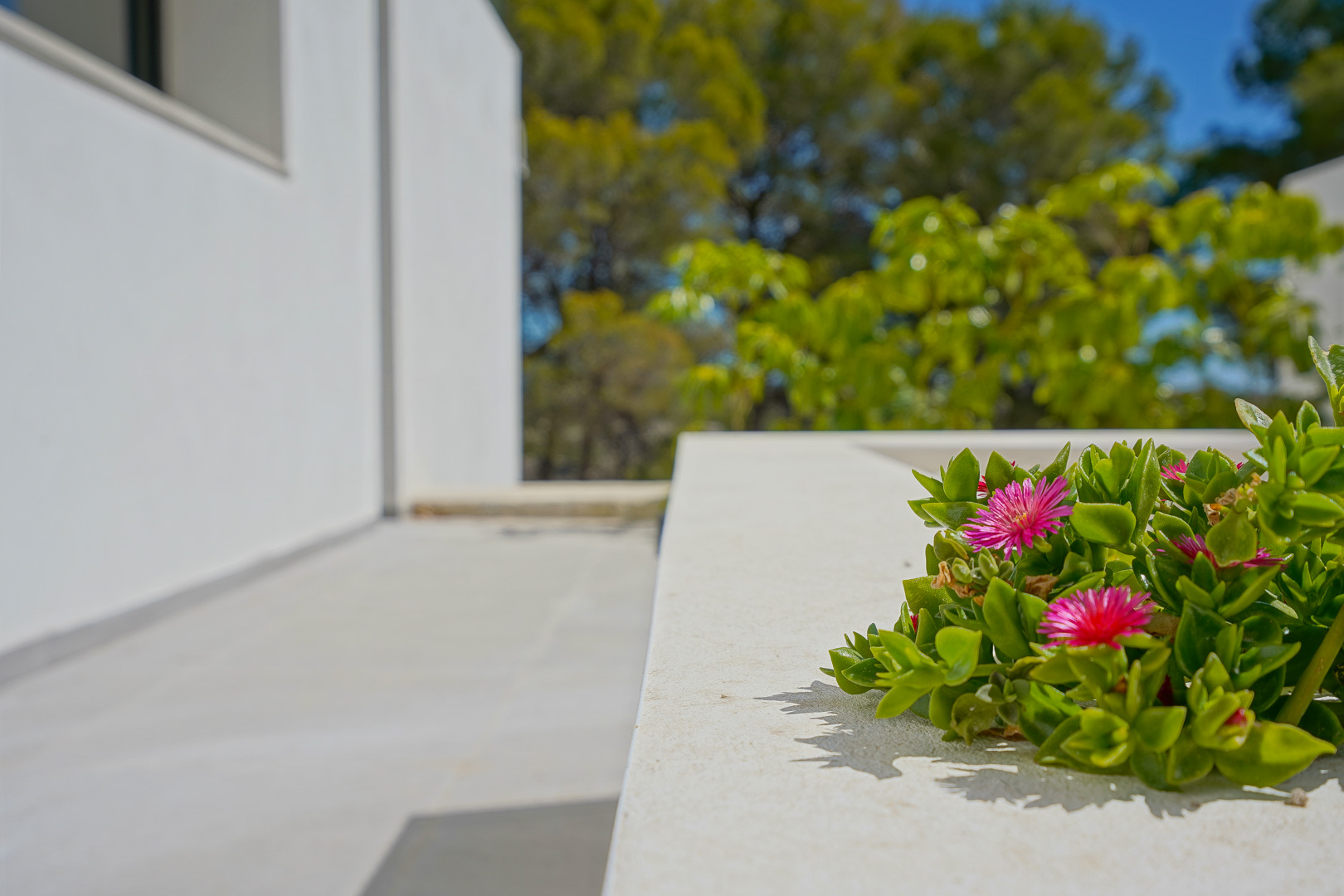 Close-up of integrated white stone planters featuring pink succulent blooms against a backdrop of lush Mediterranean greenery.